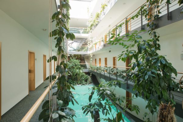 Sinuskurve-2