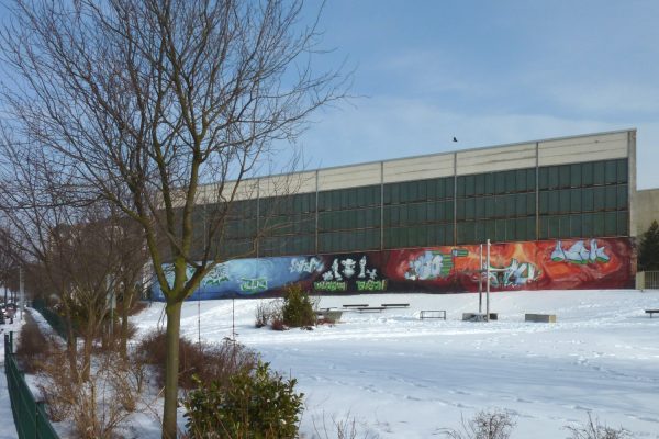 grundschule-magdbeburg-10